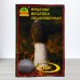 Міцелій гриба Веселка звичайна, 10г
